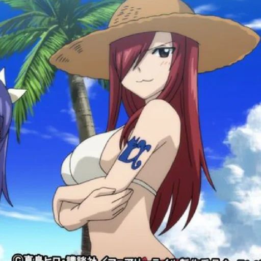 Sticker Erza_3 - 1