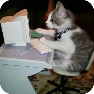 Стикер Ещкере еври дей @artem_bat0n - 6