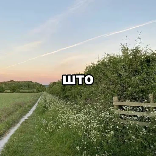 Sticker Eshkereee_Stickers - 1