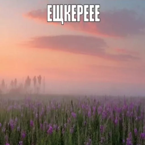 Стикер Eshkereee_Stickers - 1