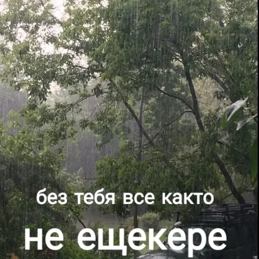 Sticker Eshkereee_Stickers - 1