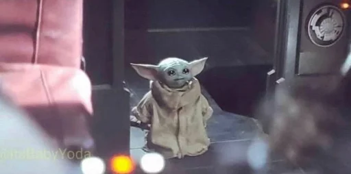 млекопитающее свет