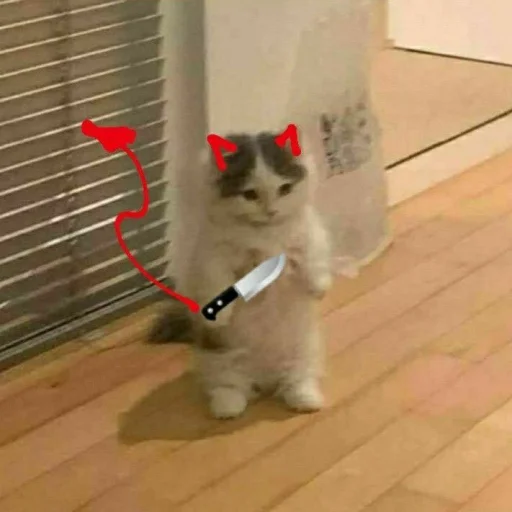 кошки малого и среднего размера комнатный кошачьи