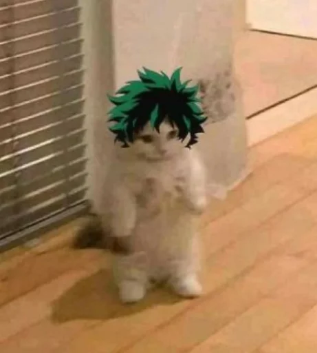 кошка мех комнатный