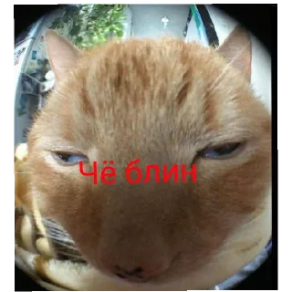 Sticker Если лень писать - 3