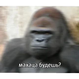 Стикер есть пара точек? @svlpng - 2