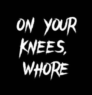 Sticker Eternal Siege Pack - 8