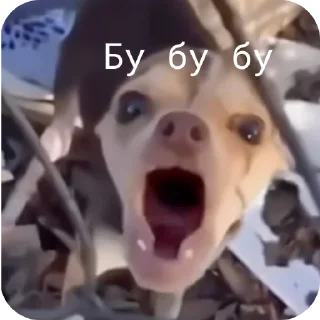 Sticker Ето не я - 4