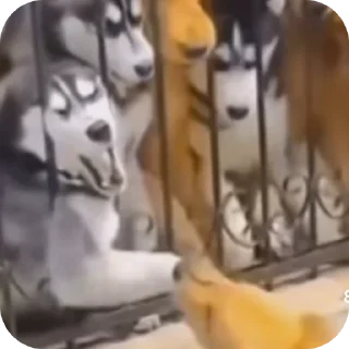 Sticker Ето не я - 1