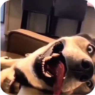 Sticker Ето не я - 0