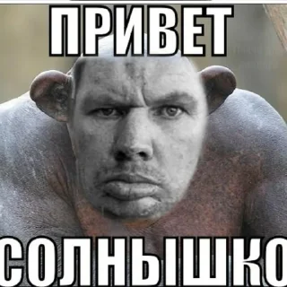 Стикер Бебреныш - 8