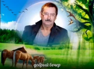 Sticker Женщина это состояние - 10