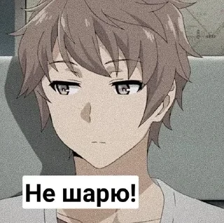 Стикер Свин - @Tg_stickersu - 7