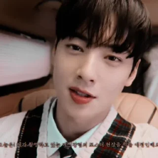 Sticker ✦ Eunwoo ！ ҂ by @bryvelcarlianya94 - 11