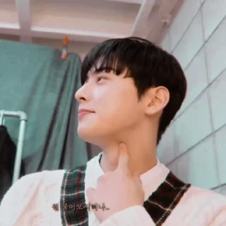 Sticker ✦ Eunwoo ！ ҂ by @bryvelcarlianya94 - 6