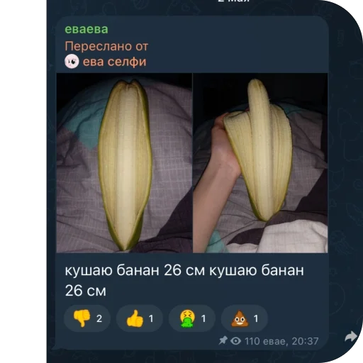 Стикер EvaSelfi - 1