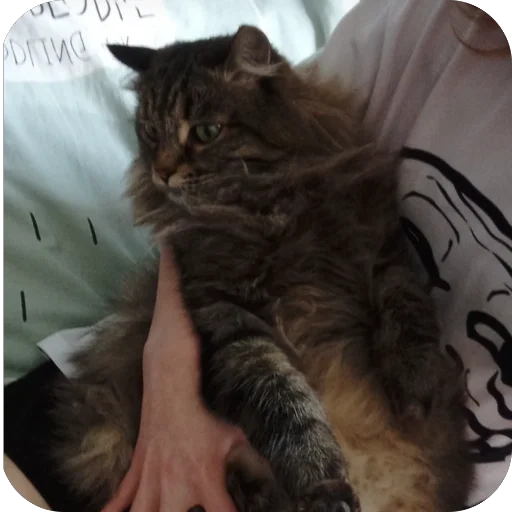 Sticker EvaSelfi - 1