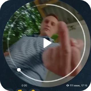 Стикер Ева селфи - 8