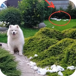 Стикер Ева селфи - 6