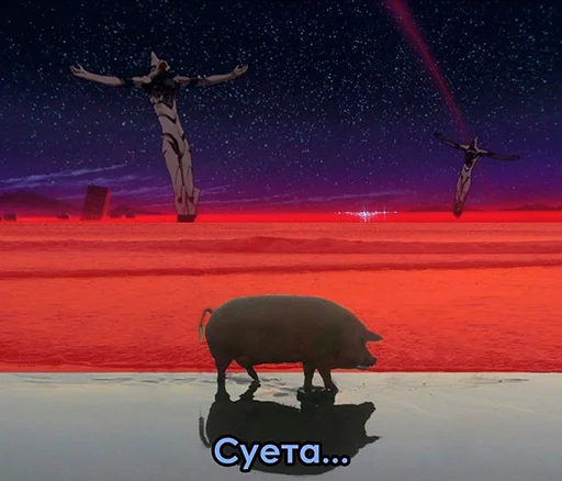 outdoor person ground