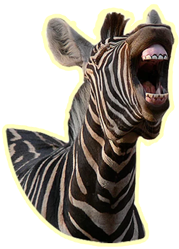 Pack1 - животное