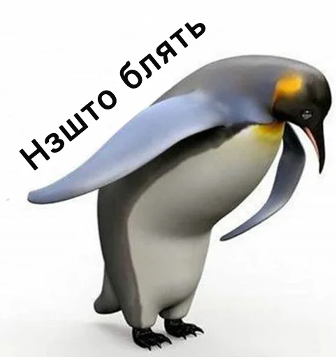 животное водная птица птица