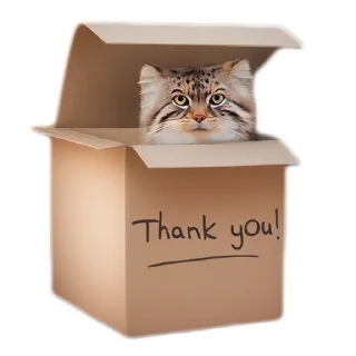 Стикер Everyday Manul @animalplantspb - 3