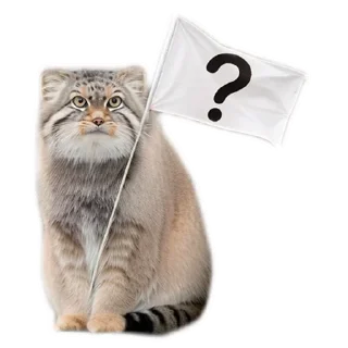 Стикер Everyday Manul @animalplantspb - 7