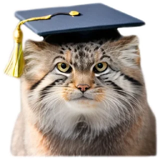 Стикер Everyday Manul @animalplantspb - 9