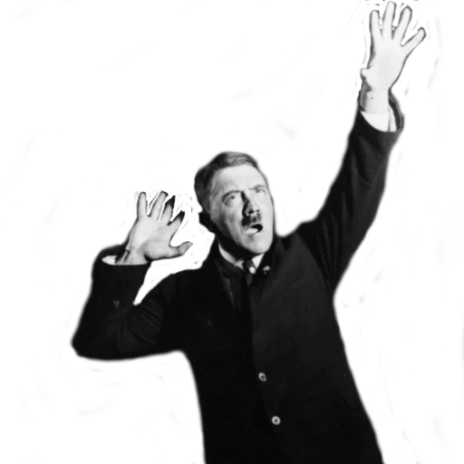 concert human face music