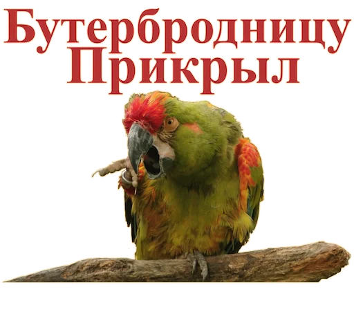 Sticker Попуги Дьявола @tvr_book - 6