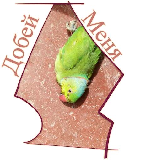 Sticker Попуги Дьявола @tvr_book - 5