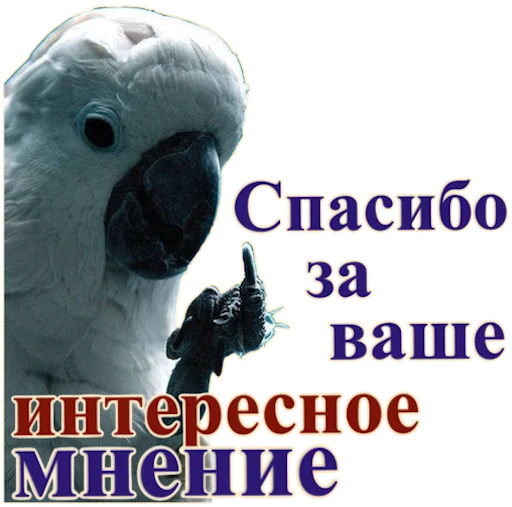 Sticker Попуги Дьявола @tvr_book - 4