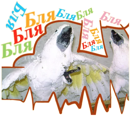 Sticker Попуги Дьявола @tvr_book - 0