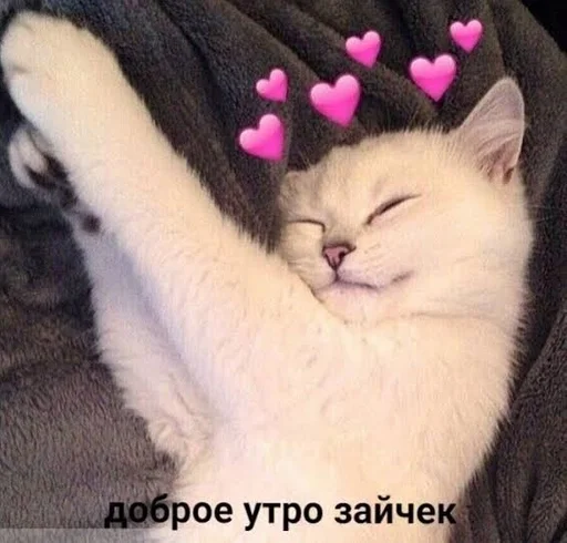 Sticker Evus_by_fStikBot - 1