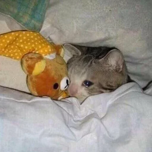 Sticker Evus_by_fStikBot - 1