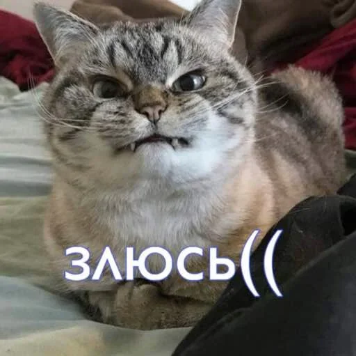 Стикер Evus_by_fStikBot - 1