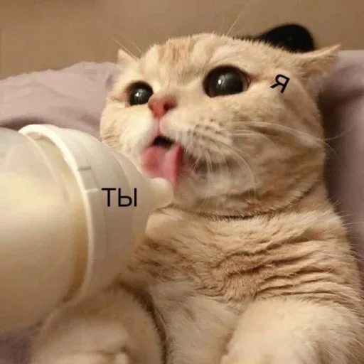 Sticker Evus_by_fStikBot - 1