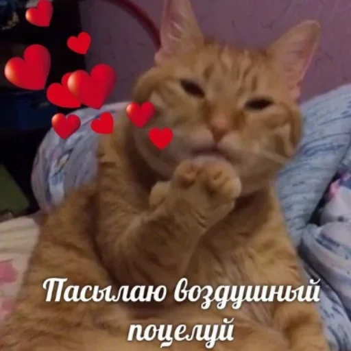 Sticker Evus_by_fStikBot - 1