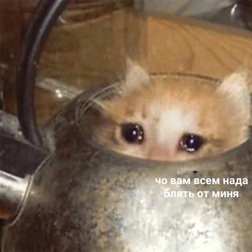 Sticker Evus_by_fStikBot - 1