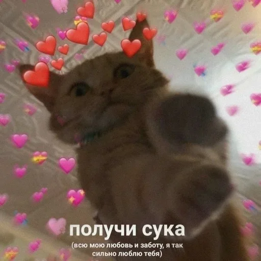 Sticker мило ебать by @fStikBot - 10