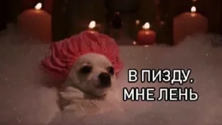 Sticker Больше стиков тут: @stikery4 - 3