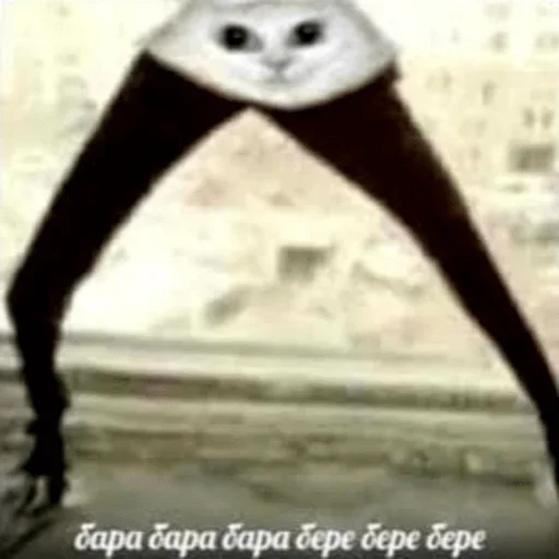 footwear ground person