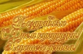 Sticker @stiki_tg_nah_canal - 10