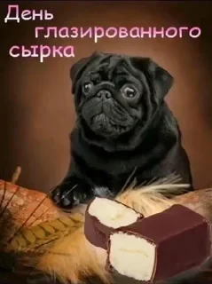 Sticker @stiki_tg_nah_canal - 8