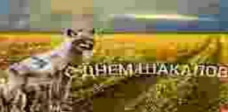 Sticker @stiki_tg_nah_canal - 1