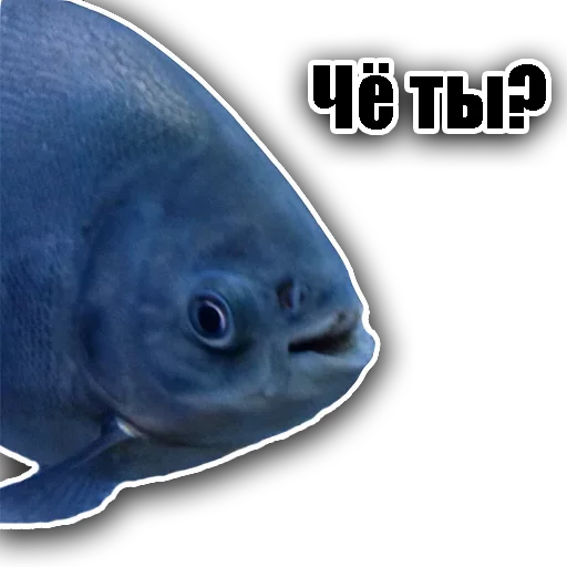 Sticker Ex3linger - 1