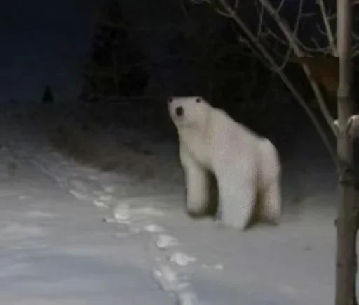 Стикер ExbeEBFndDijuH_by_stickers_stealer_bot - 1