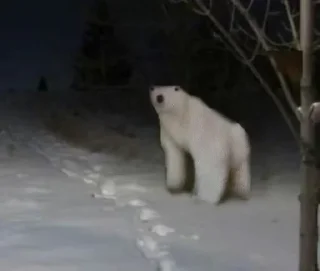 Sticker Больше стикеров 👉🏻 @stickertg4 - 8