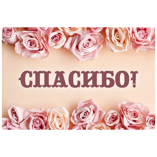 flower text garden roses